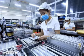 218500家企业加入市场。图自越通社