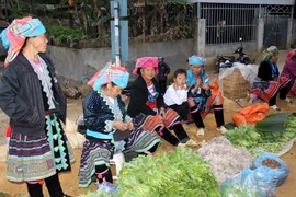 越南莱州省三堂集市的色彩（祖图）