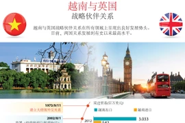 越南与英国战略伙伴关系（图表）