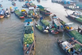 越南荣获“2018年亚洲最佳旅游目的地”奖