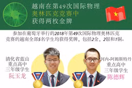 图表新闻：越南在第49次国际物理 奥林匹克竞赛中获得两枚金牌 
