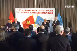 越南在联合国舞台上的地位日益得到提高