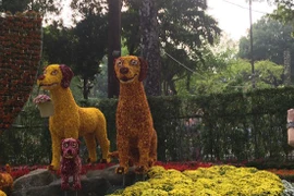 胡志明市2018戊戌年迎春花卉节开幕