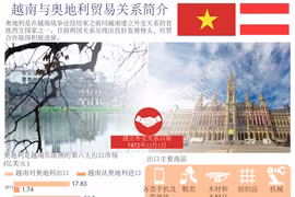 图表新闻：越南与奥地利贸易关系简介 