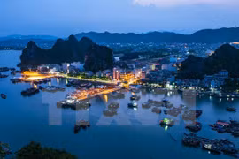 阮春福主持召开国家特别行政经济单位建设指导委员会会议