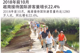 图表新闻：2018年前10月越南接待国际游客量增长22.4%