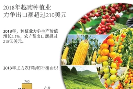 图表新闻：2018年越南种植业力争出口额超过210美元