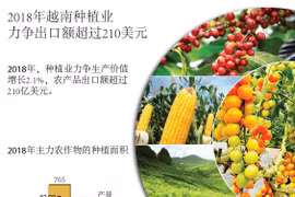 图表新闻：2018年越南种植业力争出口额超过210美元
