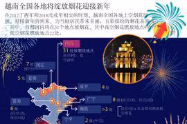  图表新闻：越南全国各地将绽放烟花迎接新年