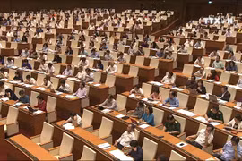 国会表决通过三项法律草案