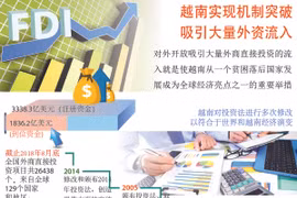图表新闻：越南实现机制突破 吸引大量外资流入