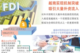 图表新闻：越南实现机制突破 吸引大量外资流入