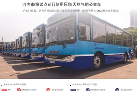 图表新闻：河内市将试点运行使用压缩天然气的公交车