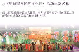 图表新闻：2018年越南各民族文化日：活动丰富多彩