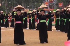 越南宣光省隆东节热闹登场