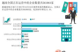 图表新闻：越南全国正在运营的企业数量共561064家