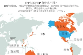 图表新闻：TPP 与 CPTPP 有什么不同？