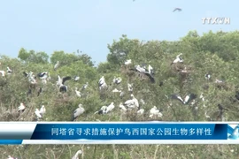 同塔省寻求措施保护鸟西国家公园生物多样性