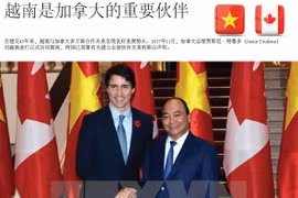 图表新闻：越南是加拿大的重要伙伴