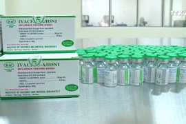 越南成功生产季节性流感疫苗和H5N1禽流感疫苗