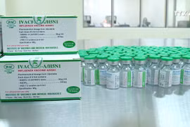 越南成功生产季节性流感疫苗和H5N1禽流感疫苗