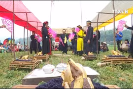 高平省二姑娘文化节被列入国家级非物质文化遗产名录