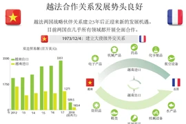 图表新闻： 越法合作关系发展势头良好