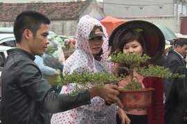 寒冷细雨也挡不住赶旺市的有心人