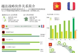 图表新闻：越法战略伙伴关系简介