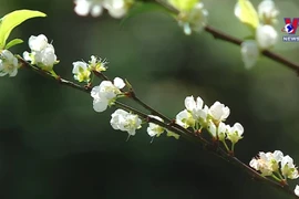 木州县--全球最佳自然目的地