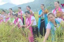 莱州泰族同胞颇具特色的新米节