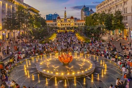 组图：从高空俯瞰胡志明市全景 彰显出现代气息