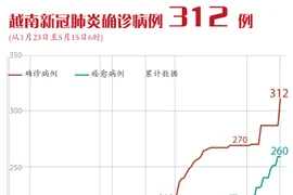 图表新闻：越南新冠肺炎确诊病例 312 例