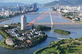 组图：岘港市“白鹭天堂”：白鹭成群翱翔的美景