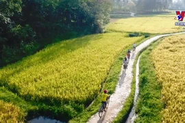 唤醒农业农村旅游发展潜力