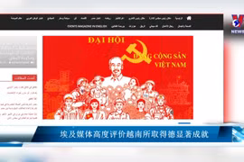 埃及媒体高度评价越南所取得的显著成就