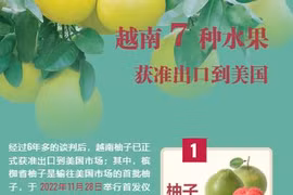 互动图表：越南7种水果 获准出口到美国