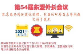 图表新闻：第54届东盟外长会议就东盟共同体建设进程、东盟的对外关系等问题交换意见