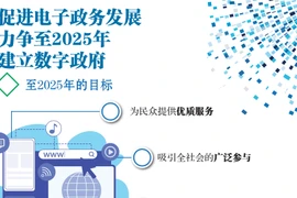 图表新闻：促进电子政务发展 力争至2025年建立数字政府