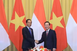越南国家主席武文赏与印尼总统佐科•维多多举行会谈