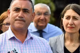 胡志明市同澳大利亚新南威尔士结成友好城市