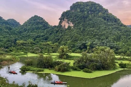 组图：宁平省通岩鸟园—美丽迷人的旅游景点