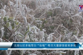 北部山区多地雪白“仙境”吸引大量游客前来参观 