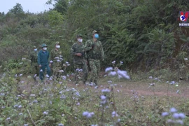 边防部队加强巡逻 做好春节期间新冠疫情防空工作