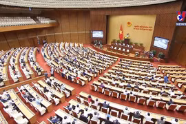 旅德越南知识分子对第十五届国会寄予厚望