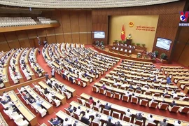 旅德越南知识分子对第十五届国会寄予厚望