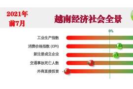 互动图表：2021年前7月越南经济社会全景