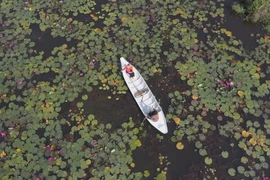 隆安省开发旅游资源 打造美丽生态旅游目的地