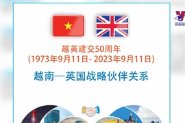 回顾半个世纪越英关系的发展历程