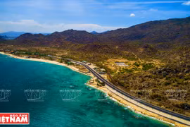 组图：越南最美沿海公路的风光